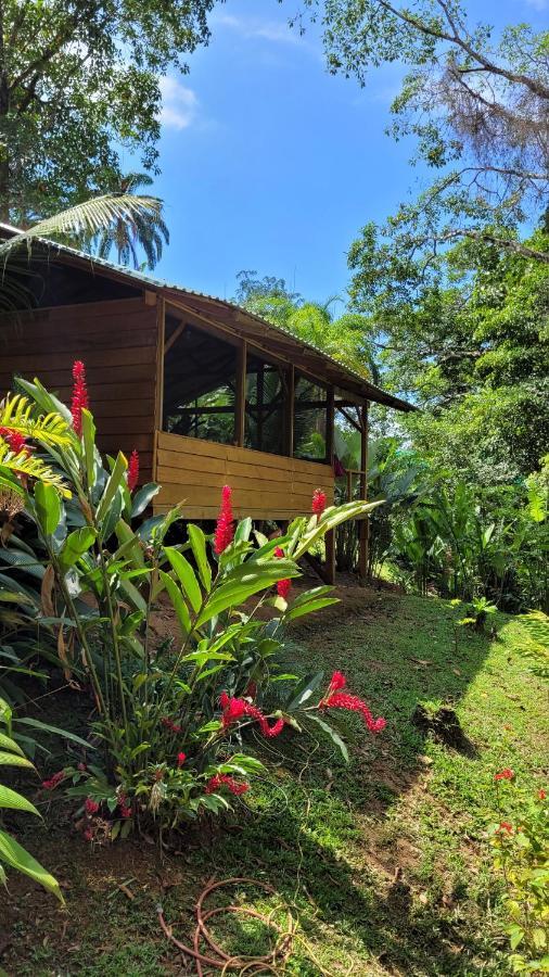 Private Jungle “Loft Del Rio” River Access Uvita Ngoại thất bức ảnh